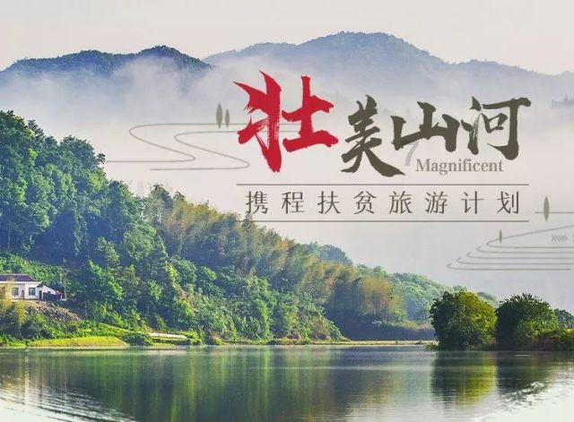 谢楠为什么受伤了严重吗？